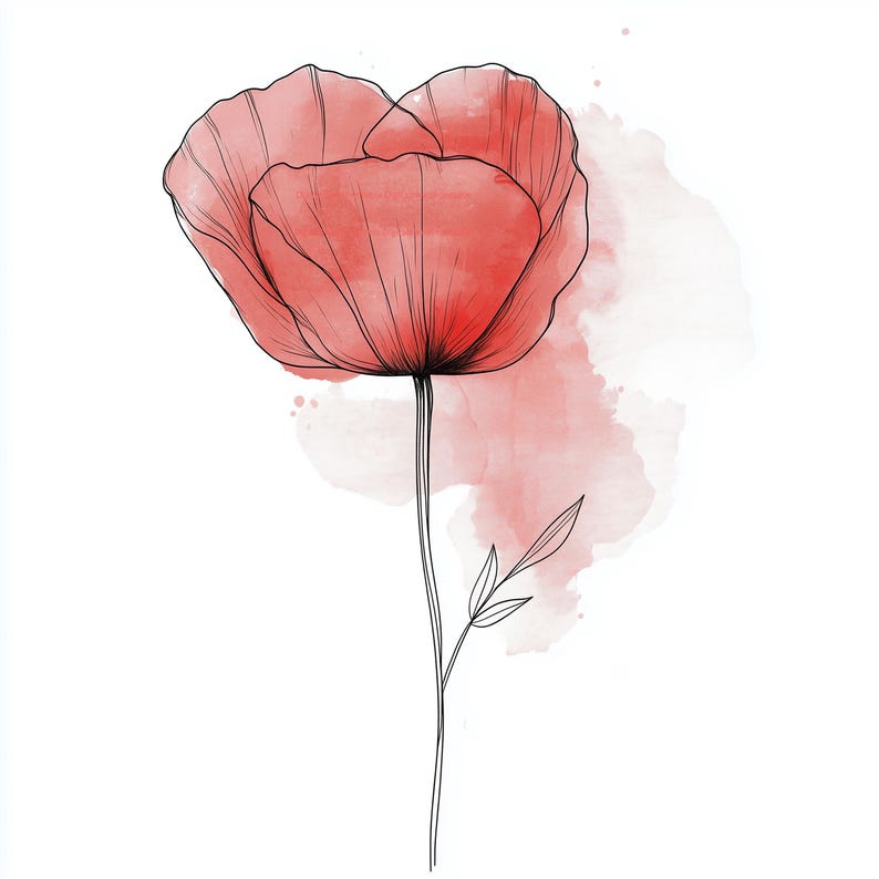 May include: A watercolor illustration of a red poppy flower with black outline details. The flower has a delicate appearance with a soft, textured look. The background features a light red watercolor wash, adding depth and artistic flair.