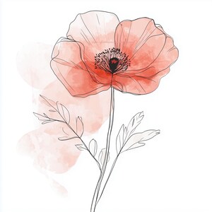 May include: A watercolor-style illustration of a single poppy flower. The flower is a vibrant coral color with a black center and delicate black outlines. Soft coral-colored watercolor washes are in the background, and the stem and leaves are black.