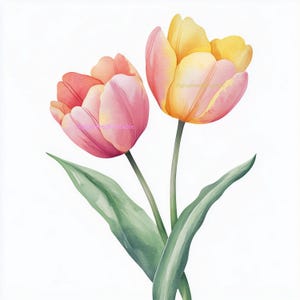 Watercolor Wild Tulip Clipart: Pastel Pink & Yellow Floral (PNG , JPG Digital Download, Commercial Use)