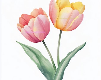 Watercolor Wild Tulip Clipart PNG: Pastel Pink Yellow Floral Blooms (Digital Download)