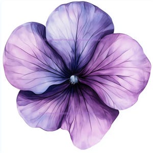 Aquarell Violette Blumen Clipart: Lila Blumen Illustrationen (PNG & JPG digitaler Download, kommerzielle Nutzung)