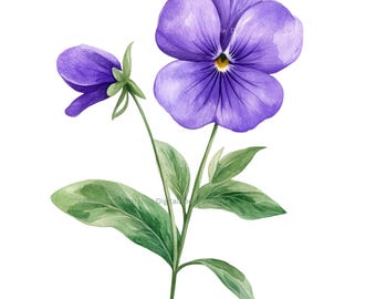 24 Watercolor Violet Flower Clipart: Purple Floral PNG, Botanical Illustration (PNG & JPG Digital Download)
