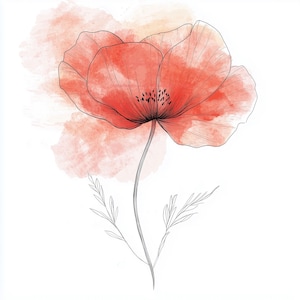 May include: Watercolor illustration of a red poppy flower with black outline and stem. The flower has a watercolor wash background in shades of peach and pink. The poppy has detailed petals and a delicate appearance.