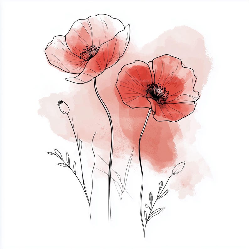 May include: Watercolor illustration of two red poppies with black outlines and stems. The flowers have detailed petals and dark centers, set against a soft, red watercolor wash background. Delicate leaves and buds complete the floral design.