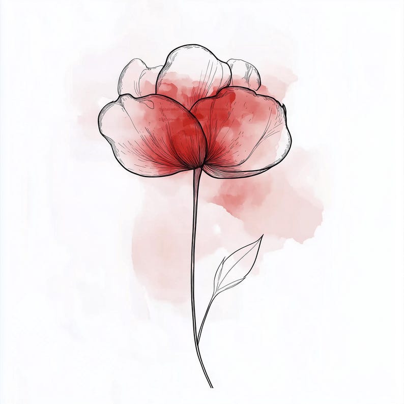 May include: A watercolor-style illustration of a red flower with black outline details. The flower has multiple petals and a long stem with a single leaf. The background features soft, pink watercolor washes, creating a delicate and artistic design.