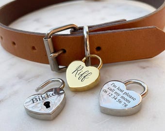 Gepersonaliseerd hartvormig hangslot huisdierpenning met gegraveerde naam, geschikt voor honden- en kattenhalsband.