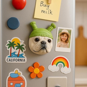 May include: A collection of colorful refrigerator magnets, including a bulldog wearing a green hat, a photo of a child, a rainbow, a flower, a California-themed magnet, and a note that says "Buy milk."