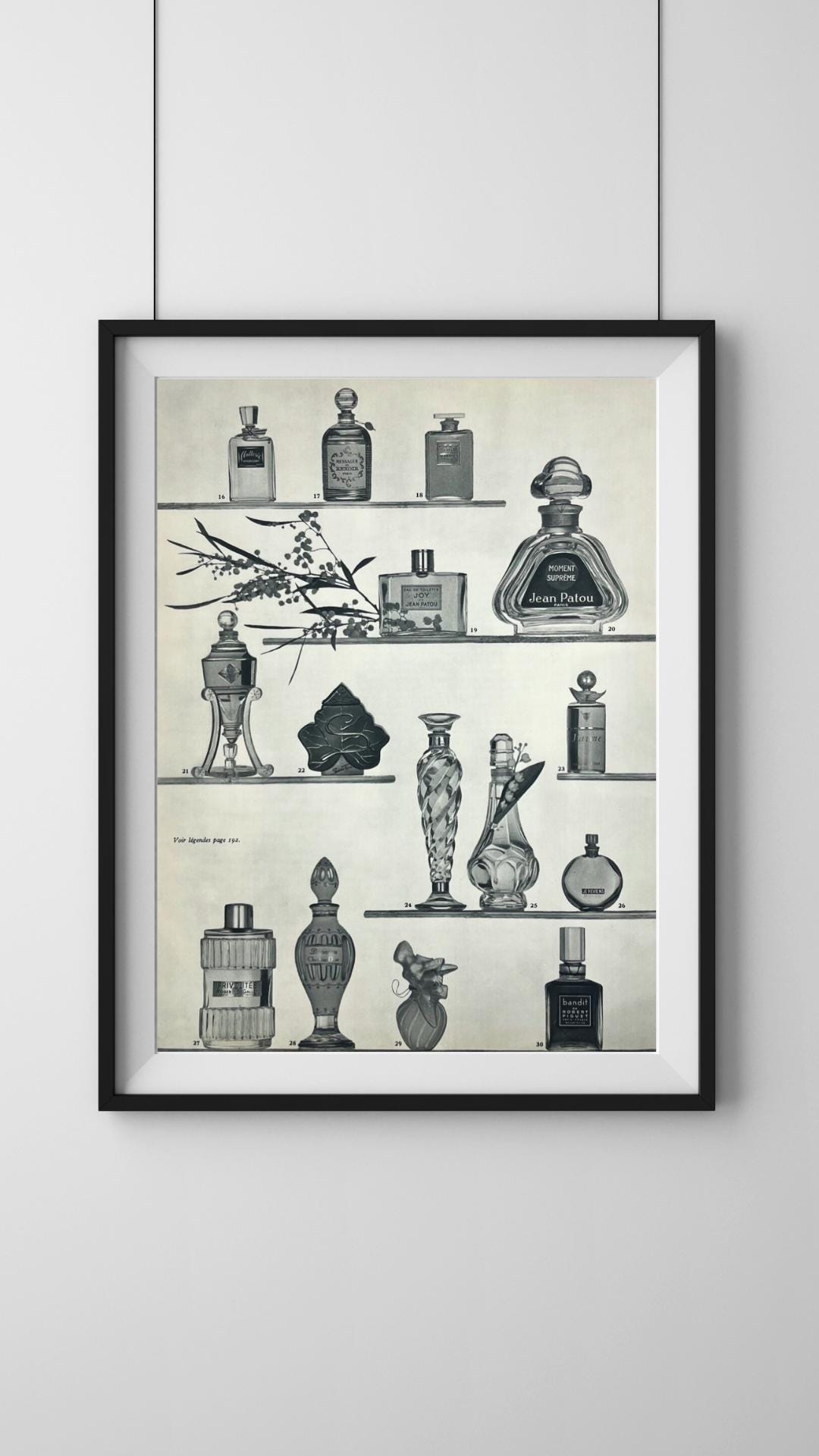1950s French Perfume Print | Jean Patou Joy & Bandit by Robert Piguet | Vintage Paris Fragrance Ad Page