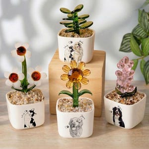May include: Four decorative glass flower and plant sculptures in white square pots. The sculptures include a daisy, a sunflower, a succulent, and a pink crystal plant. Each pot features a different dog or cat illustration.