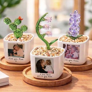 May include: Three decorative glass plant sculptures in white square pots with photos and text. The sculptures include a green cactus, a curved green stem with pink flowers, and a purple hyacinth. Each pot sits on a wooden tray.