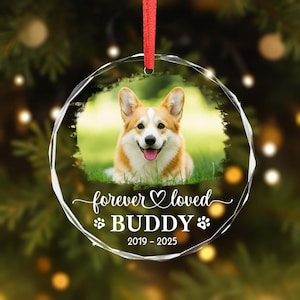 Personalized Pet Memorial Photo Ornament, Dog Photo Memory Ornament, Custom Dog Ornament, Dog Loss Keepsake, Pet Loss Gifts, Pet Ornament