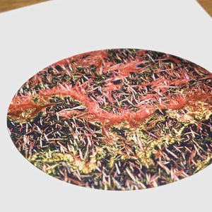 May include: An abstract image featuring a circular design with a complex texture. The design showcases a mix of colors, including red, gold, and green, with a spiky, crystalline appearance. The artwork is set against a white background.