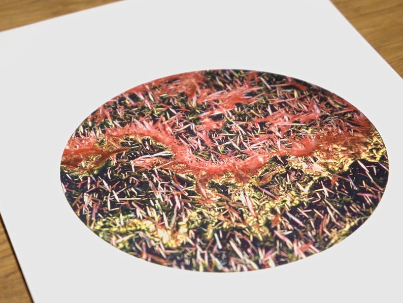 May include: An abstract image featuring a circular design with a complex texture. The design showcases a mix of colors, including red, gold, and green, with a spiky, crystalline appearance. The artwork is set against a white background.