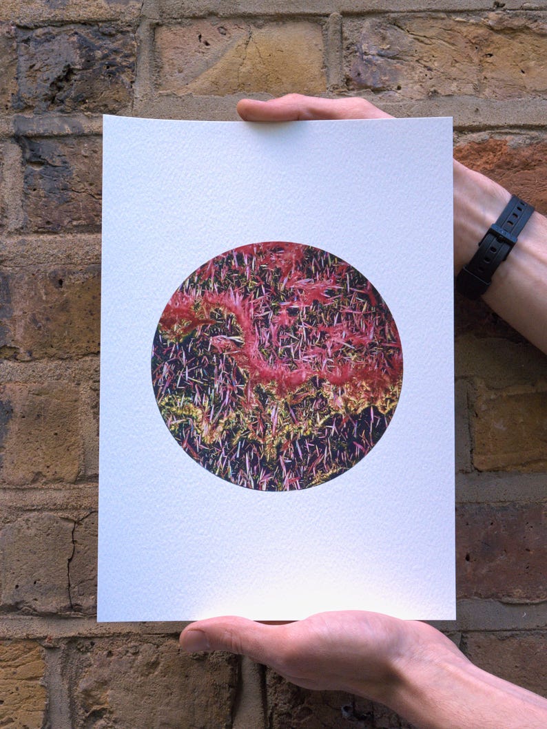 May include: A white paper print featuring a circular design with a textured, abstract pattern. The pattern is predominantly red and pink, with hints of yellow and green, set against a dark background. The print is held against a brick wall.