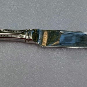 May include: A silver butter knife with a decorative handle and a serrated blade. The handle has a rounded end with a beaded border. The blade is smooth and reflective, with a slightly curved tip. The knife is designed for spreading butter or other soft foods.
