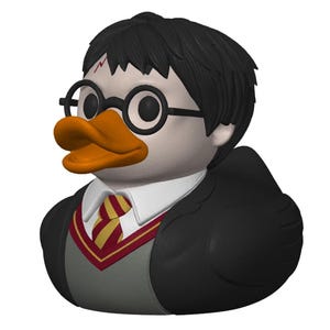 Wizard School Student Duck: For Cruises and Ducking Gifts, Quirky Animal Decor