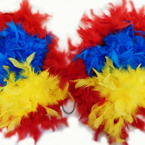 Macaw Bird Feather WINGS  Samba Costume Festival Dance  SALE
