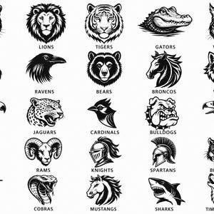 Custom School Mascot Digital File, Let's Go Team PNG, School Spirit Team Png File, Football Baseball Softball Team Shirt Png, Gameday Png image 7