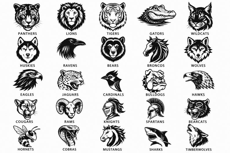 Custom School Mascot Digital File, Let's Go Team PNG, School Spirit Team Png File, Football Baseball Softball Team Shirt Png, Gameday Png image 7