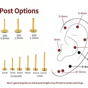 May include: Gold-coloured metal flat back piercing posts with varying gauges of 20G (0.8mm), 18G (1.0mm), and 16G (1.2mm), plus lengths from 5mm to 12mm. An ear diagram shows recommended post lengths for specific piercing locations on the ear.