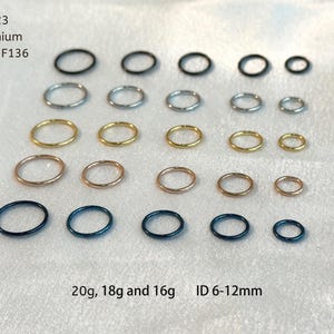 May include: An assortment of titanium rings in various colors, including black, silver, gold, rose gold, and blue. The rings are arranged in rows and vary in size, with text indicating gauges of 20g, 18g, and 16g, and an ID of 6-12mm.