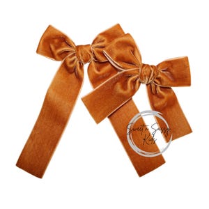 May include: Two burnt orange velvet hair bows with long tails. The bows are tied in a classic bow shape, with a soft, luxurious texture. The bows are set against a white background. The text "Sweet n Sassy Kids" is in a circle on the right side.