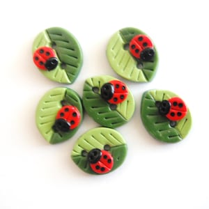 夏の葉とてんとう虫のボタン 手作りポリマー粘土ボタン (6)