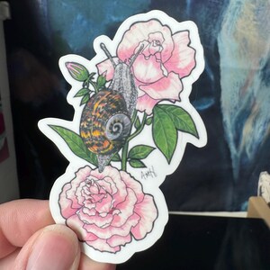 Sticker rose et escargot