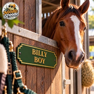 May include: A rectangular dark green nameplate with gold-coloured lettering reading BILLY BOY, mounted on a wooden stable door. A brown horse with a white blaze on its face looks out from the stall above the sign. A logo is in the top corner.