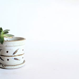 Ceramiczna mini doniczka z podstawką, mała doniczka na sukulenty, kropkowana doniczka na biurko, dekoracja w stylu mid-century boho, dekoracja półki