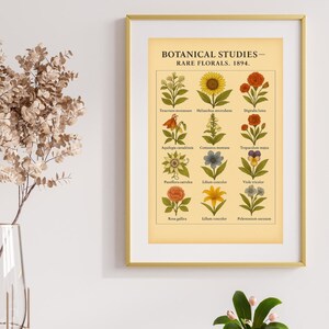 Póster vintage de estudios botánicos, flores raras de 1894, gráfico floral antiguo, decoración de pared, impresión de bellas artes, arte mural botánico, floral