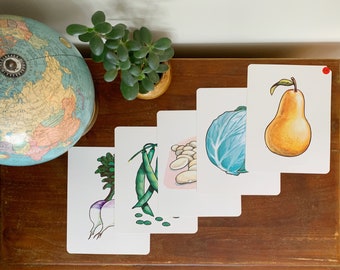 Peabody Oversized 1960s Flash Cards, Illustrated Fruit and Veggie Theme | Vintage Educational Tools | Botanical Illustration Prints