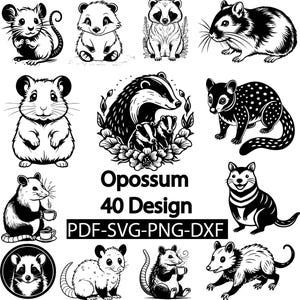 Opossum SVG Bundle | Cute & Creepy Opossum Clipart | Floral Possum Designs | Digital PNG Files | Wildlife Animal Vectors