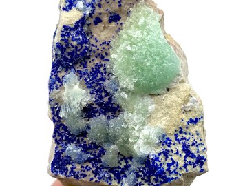 May include: A natural mineral specimen featuring a combination of colors and textures. The piece showcases a base of light beige rock, with vibrant blue azurite crystals and patches of light green crystals. The overall appearance is rough and organic.