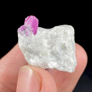 May include: A raw, natural mineral specimen featuring a vibrant pink ruby crystal formation atop a white matrix. The ruby crystals exhibit a rich, saturated color, contrasting with the lighter, textured base. The specimen is set against a dark background.