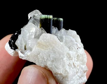 Może przedstawiać: Naturalny okaz mineralny z zielonymi i czarnymi kryształami turmalinu na białej matrycy kwarcowej. Kryształy są kolumnowe i przezroczyste, z ciemną podstawą przechodzącą w zieleń. Kwarc jest nieprzezroczysty i krystaliczny. Trzymany w dłoni.