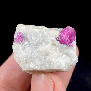 Peut inclure: Spécimen minéral blanc brut avec des cristaux de rubis roses vifs incrustés. Les cristaux de rubis sont d'un rose profond et ont une structure cristalline. Le spécimen est tenu dans une main sur fond noir.
