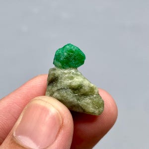 May include: A vibrant green emerald crystal sits atop a rough, light green matrix. The emerald is a vivid, saturated green, contrasting with the muted tones of the host rock. The gemstone is held in a hand.