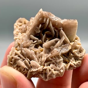 Rare Axinite Healing Crystal 29 Gram Specimen From Pakistan For Healing And Meditation Looks Like Flower
