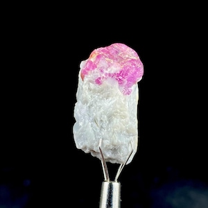 Puede incluir: Una gema de rubí en bruto, sin cortar, con un vibrante tono rosa, colocada sobre una matriz blanca. El rubí es sostenido por unas pinzas plateadas contra un fondo negro, mostrando su textura natural y variaciones de color.