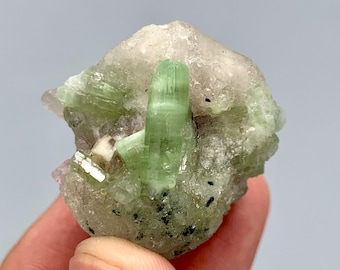 Green Tourmaline Crystal Specimen: Lepidolite & Quartz from Afghanistan