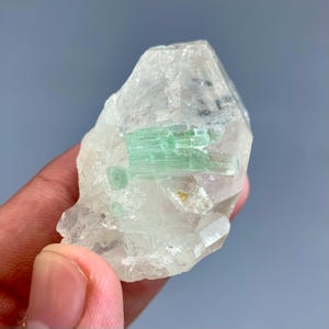 Groen toermalijnkristal 41 gram natuurlijk, goed gevormd exemplaar met glanzend kwarts uit Pakistan voor verzamelaars en genezing