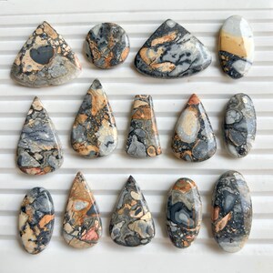 Puede incluir: Una colecci&oacute;n de quince piedras preciosas pulidas de diversas formas, incluyendo l&aacute;grimas, &oacute;valos y tri&aacute;ngulos. Las piedras presentan una mezcla de colores grises, negros, naranjas y crema con patrones intrincados. Las piedras preciosas son probablemente para la fabricaci&oacute;n de joyas o coleccionar.
