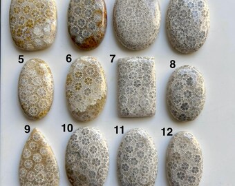 Cabochon van geagateerd fossiele koraal – natuurlijke edelsteen voor het maken van sieraden