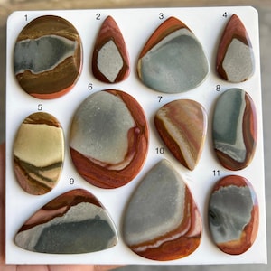 May include: Eleven polished jasper stones in various shapes, including oval, teardrop, and triangular. The stones feature a mix of colors, including gray, brown, red, and cream, with unique patterns and veining. Each stone is numbered for identification.