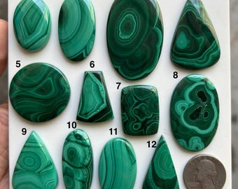 May include: Twelve polished malachite cabochons in various shapes and sizes arranged on a white board, numbered one through twelve. A United States quarter coin is placed next to the twelfth stone for scale, showing the relative size of the gems.