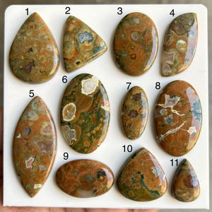 May include: A collection of eleven polished gemstones in various shapes, including teardrop, triangular, and oval. The stones display a mix of earthy tones, with brown, green, and beige patterns. The gemstones are likely for jewelry making or collecting.