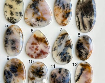 May include: A collection of twelve polished dendritic agate gemstones in various shapes. The stones display a range of colors, including cream, brown, black, and peach, with intricate, tree-like patterns. Each stone is unique, showcasing natural variations.