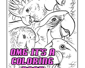 All Ages Coloring Sheet - Parrots! - Printable, Instant Download, DIY, Birds, Adult, Parrots