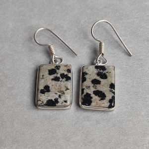 May include: A pair of rectangular dangle earrings. Each earring features a speckled, light-colored stone with black spots, set in a silver-colored metal frame. The earrings have a simple hook design.